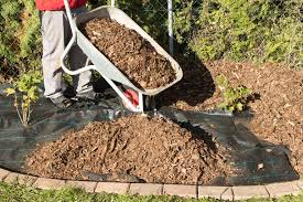 Mulch your trees before the colder weather to better protect them from the elements.