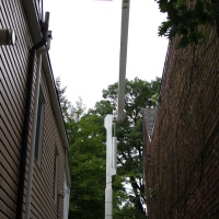 emergency-removal-of-a-large-dead-oak-in-toronto-15