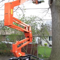 removal-of-a-huge-hollow-oak-in-toronto04