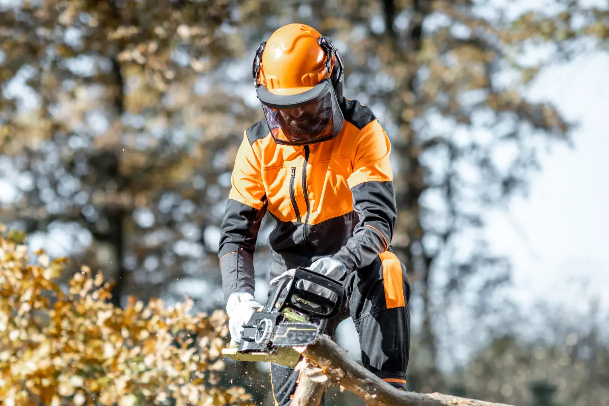 Tree removal