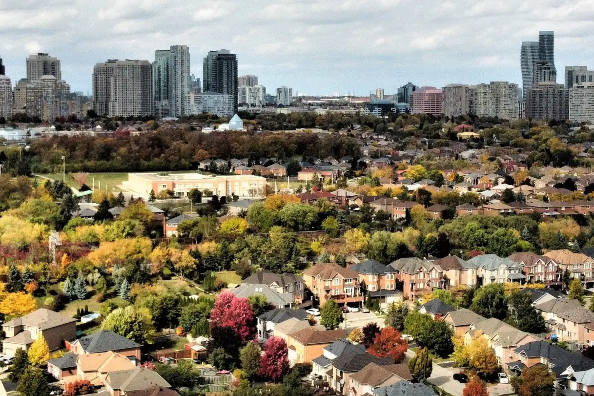 Importance of Urban Trees