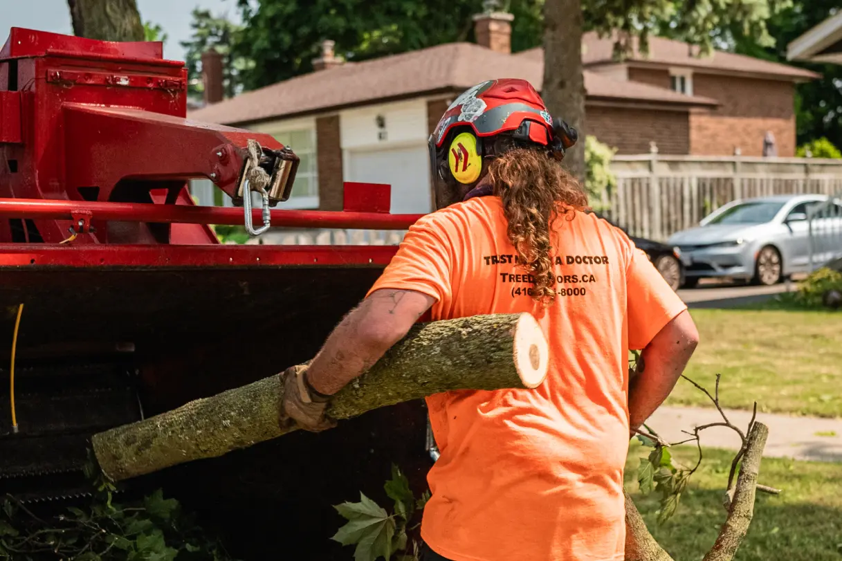 Urban forestry problems