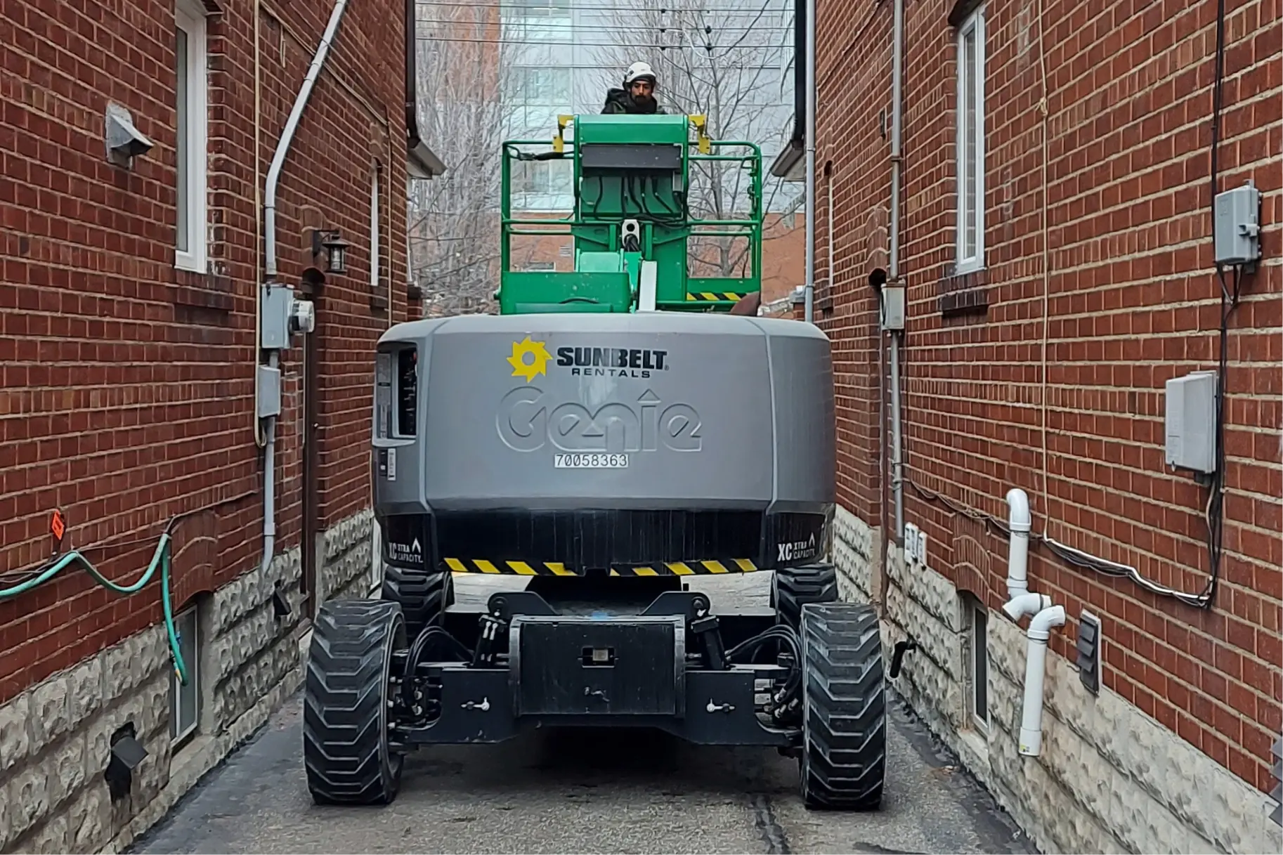 Commercial tree removal