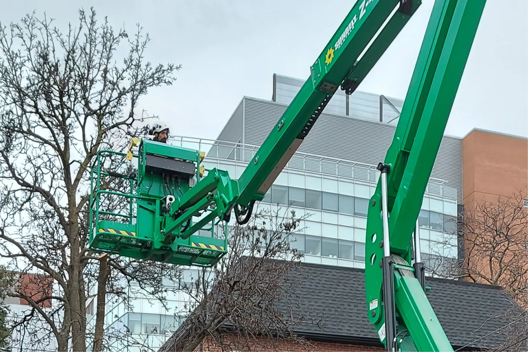 Where to find commercial tree removal company