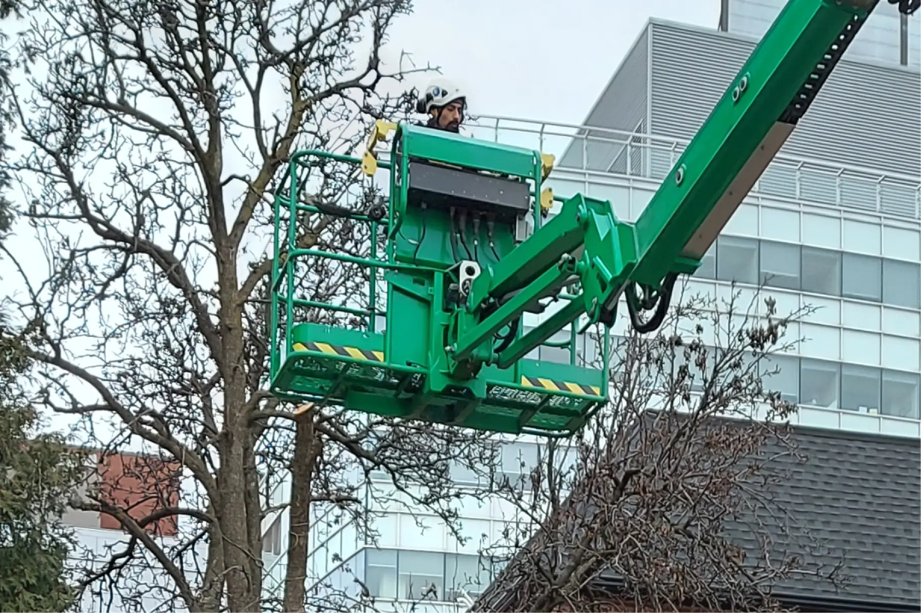 Neighbor won't trim their trees