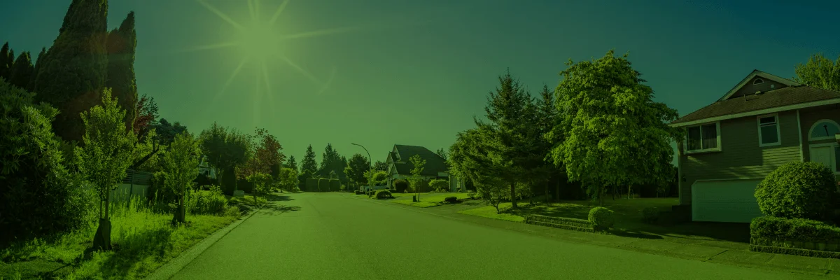 Toronto Tree Bylaw Changes Coming September 1, 2026