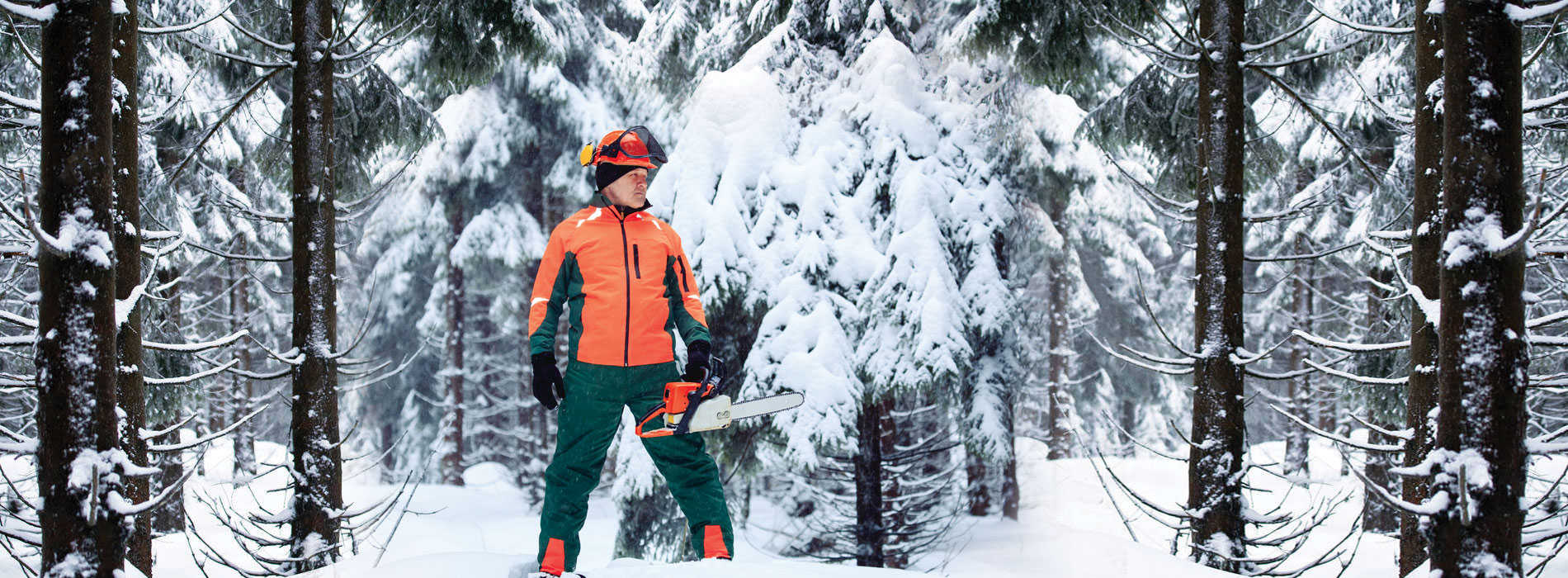 Winter Discounts for tree care services