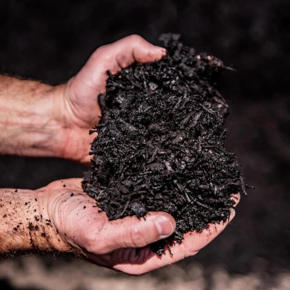 Image of Black wood chips in a pile