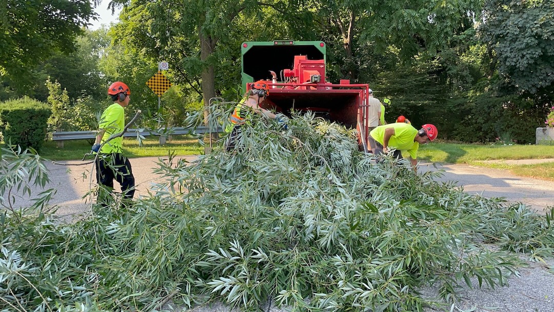 TreeDoctors service unit in Mississauga