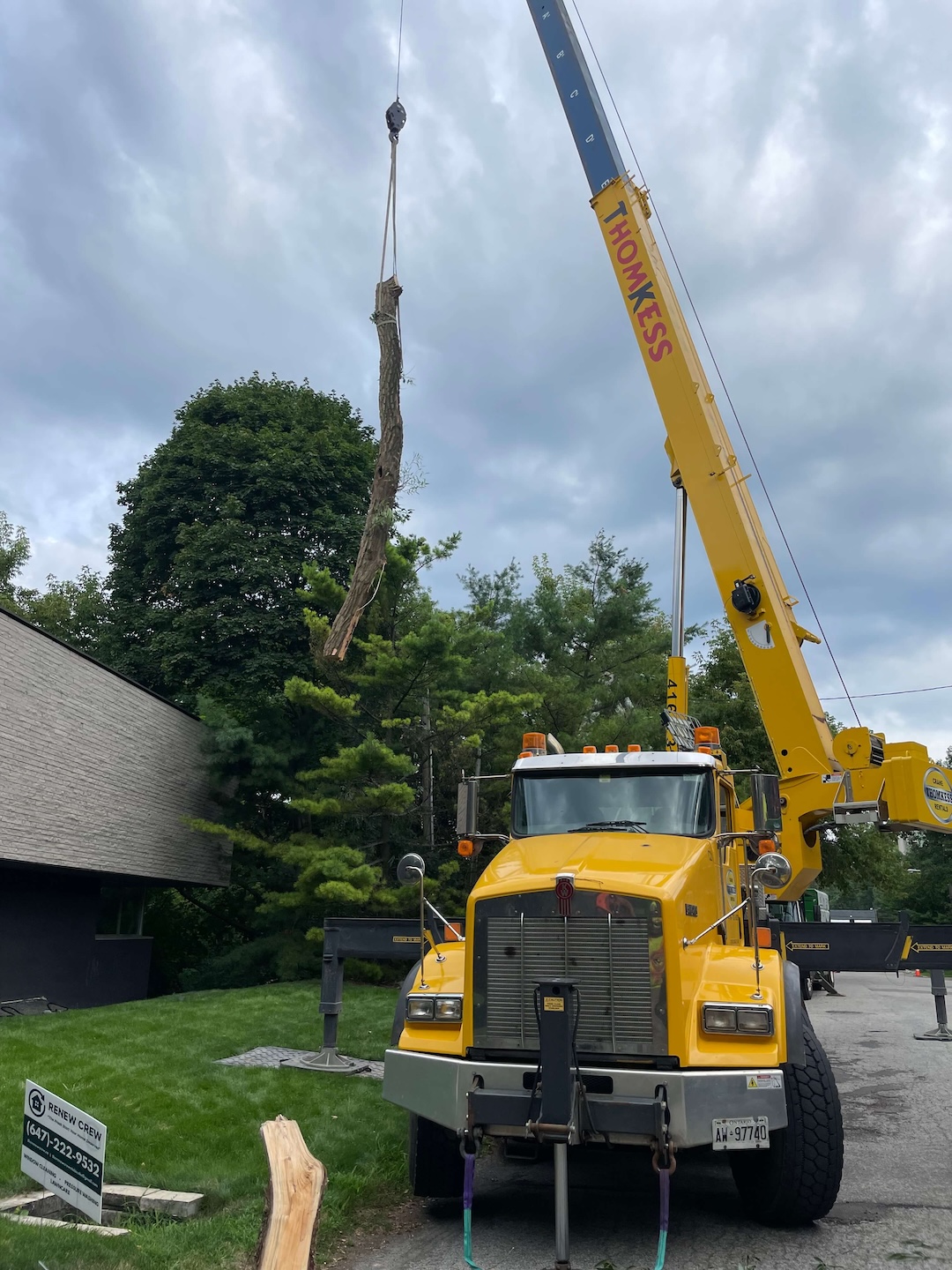 tree services in oakville ca