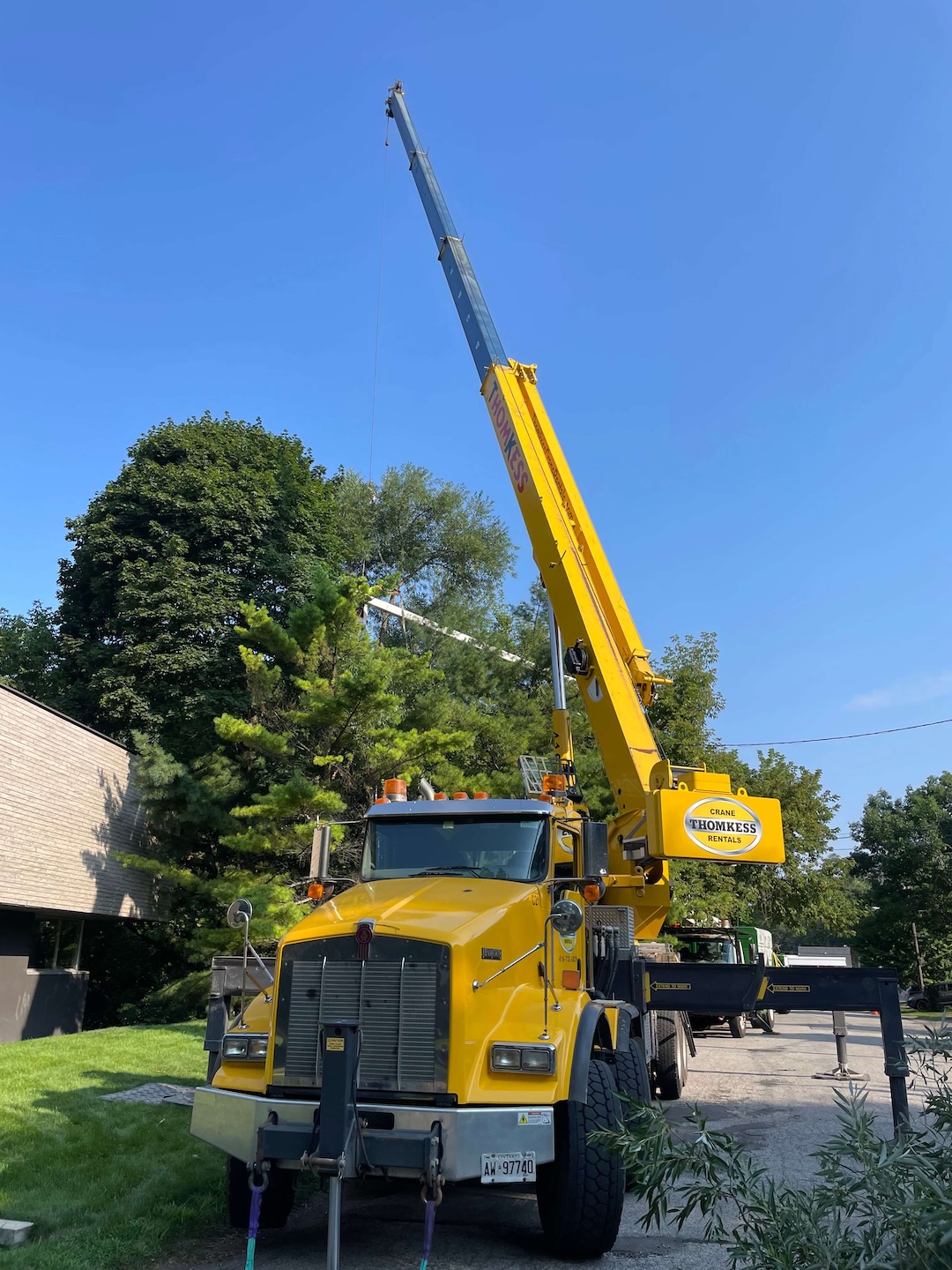 tree services in york ca