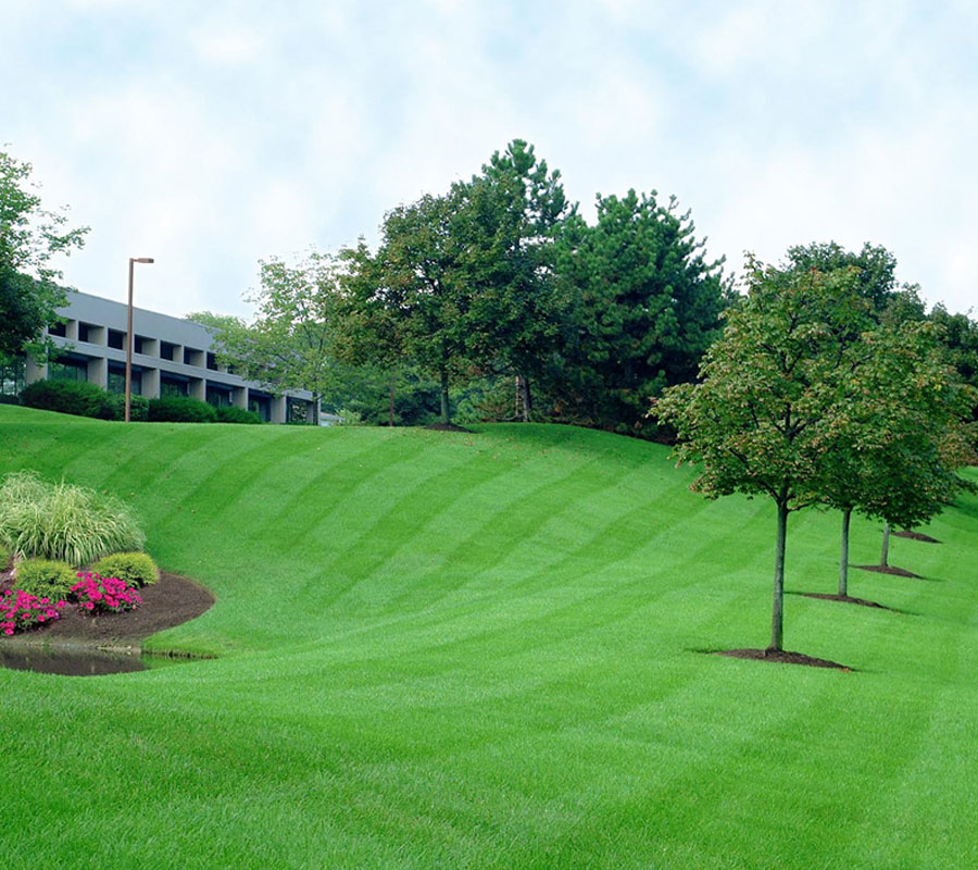 We Offer Solutions to All of Your Commercial Property Maintenance Needs