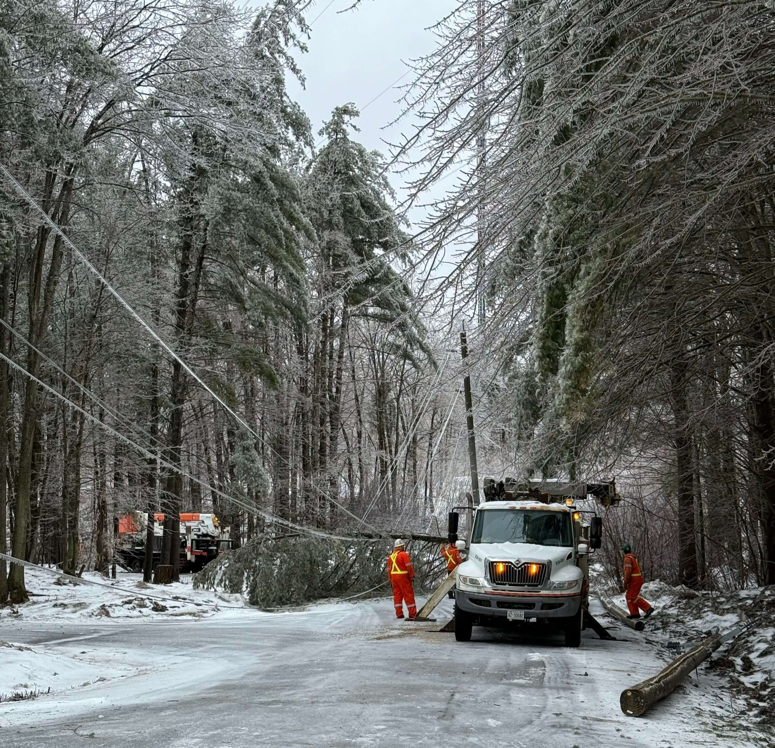 Removal service Toronto