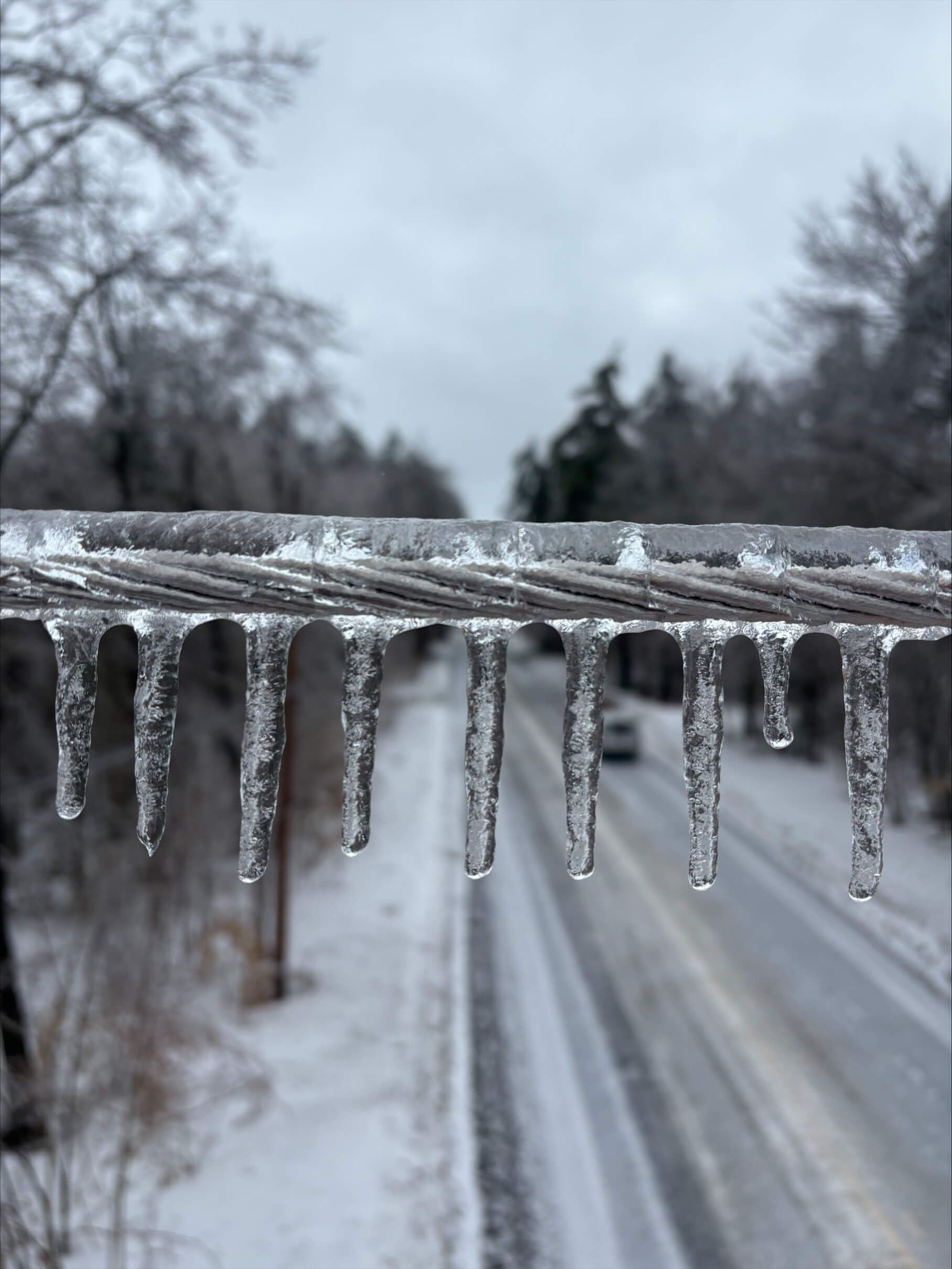 Emergency Tree Removal - Tree Doctors Inc