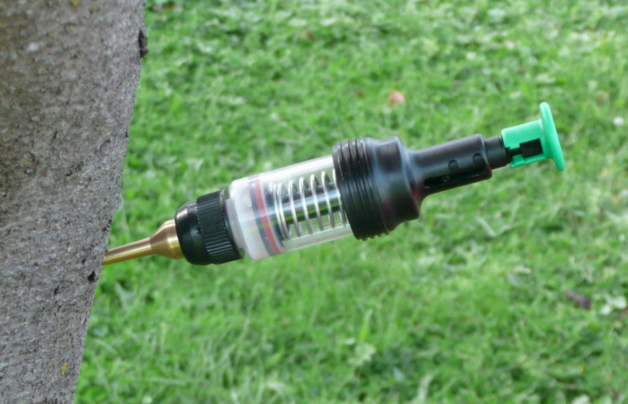 How Much Ash Tree Injections Cost?