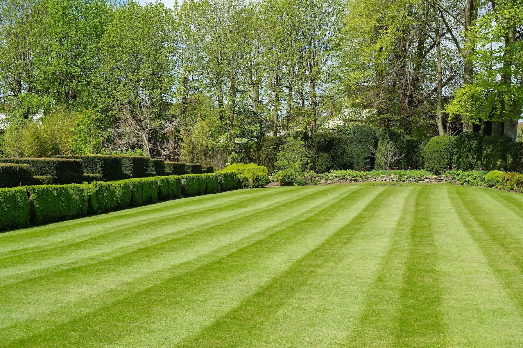 Flexible Yard Maintenance Options