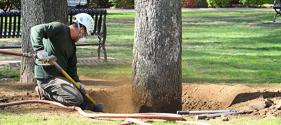 Negative Effects of Soil Compaction