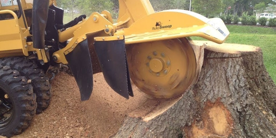 Tree Stump Grinding and Removal in Toronto and GTA | Tree Doctors Inc.