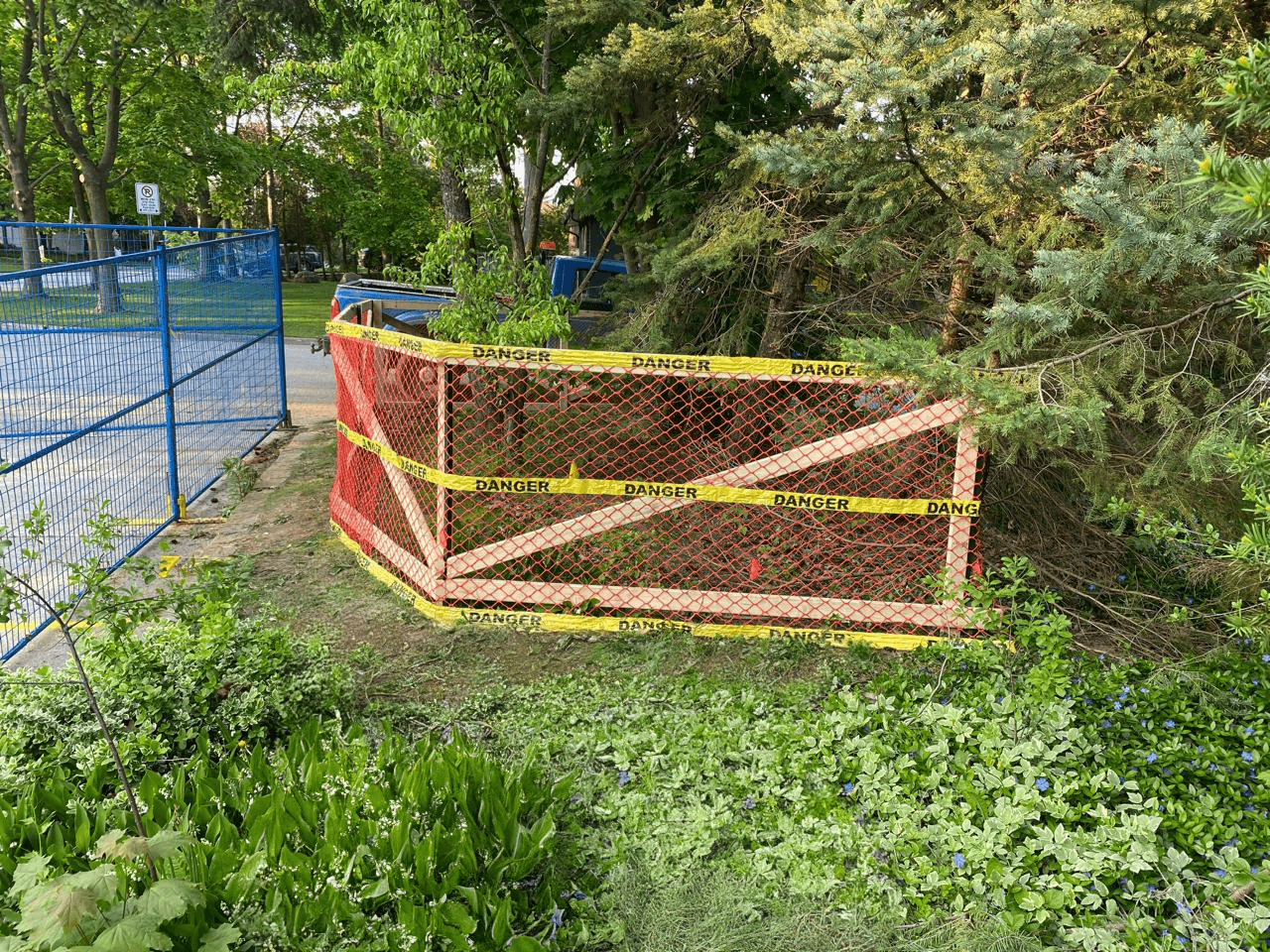 tree protection zone in toronto ca