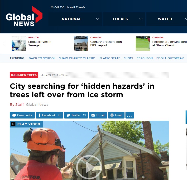 Tree Doctors on Global News.