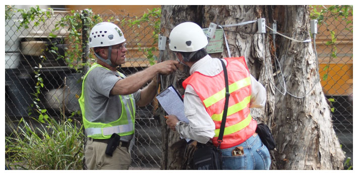 What Needs to be Done to Reduce and Eliminate Tree Risk